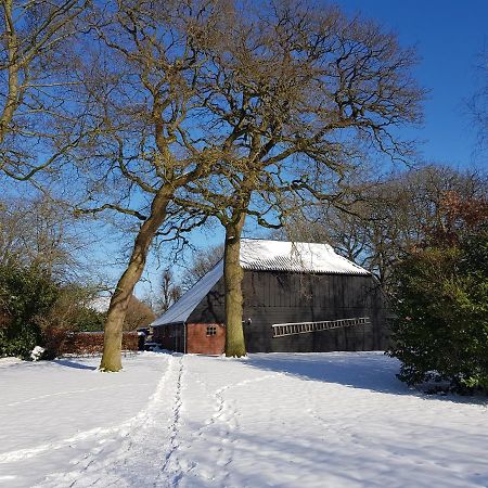 Zwinderen Bij Saar B&B 외부 사진