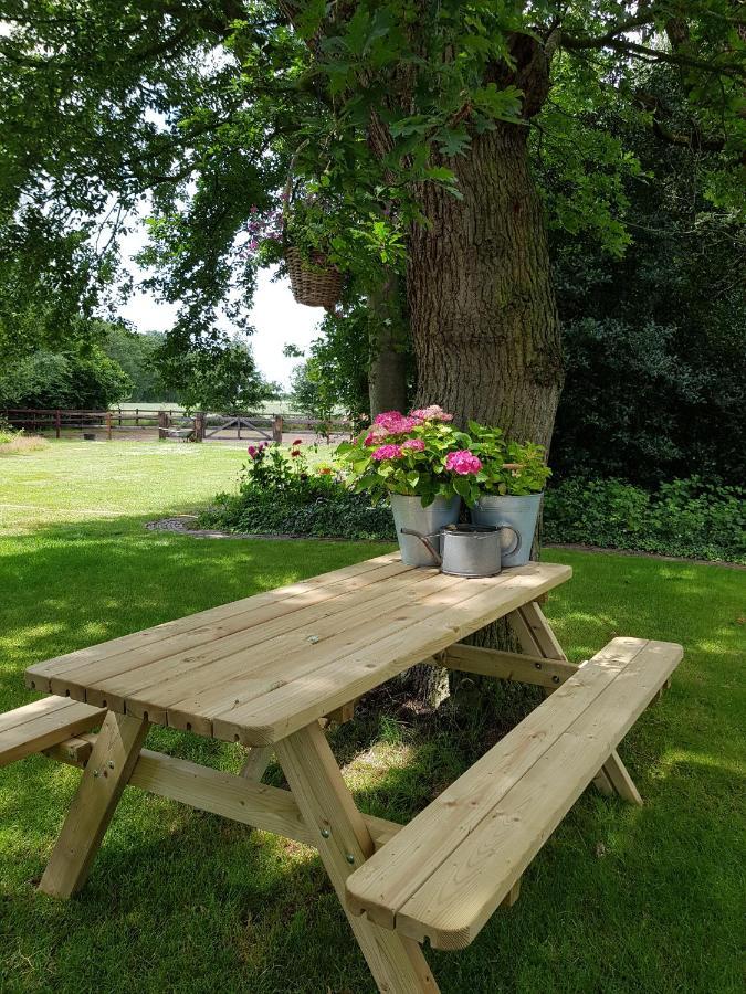 Zwinderen Bij Saar B&B 외부 사진