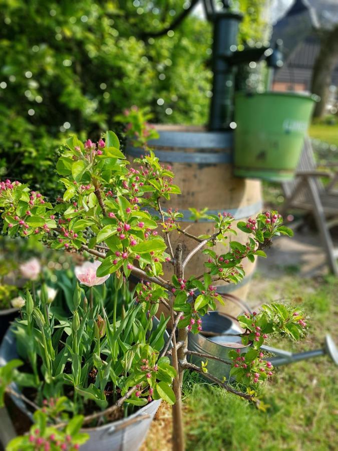 Zwinderen Bij Saar B&B 외부 사진